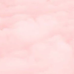 Meet your Posher, Allyn bardelli